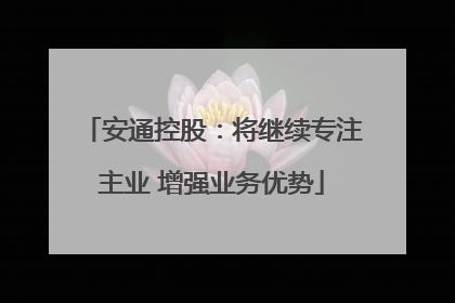 安通控股：将继续专注主业 增强业务优势
