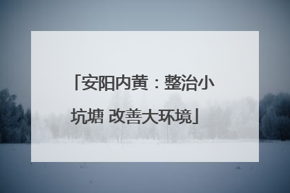 安阳内黄：整治小坑塘 改善大环境