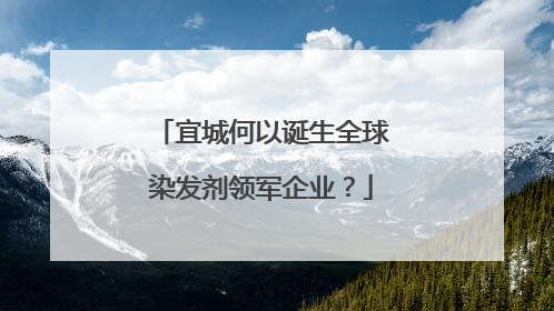 宜城何以诞生全球染发剂领军企业？