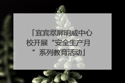 宜宾翠屏明威中心校开展“安全生产月”系列教育活动