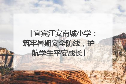 宜宾江安南城小学：筑牢暑期安全防线，护航学生平安成长