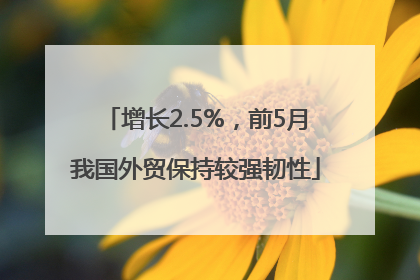 增长2.5%，前5月我国外贸保持较强韧性