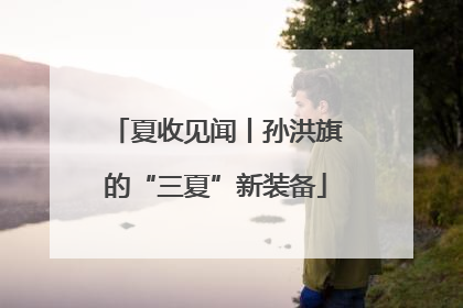 夏收见闻丨孙洪旗的“三夏”新装备