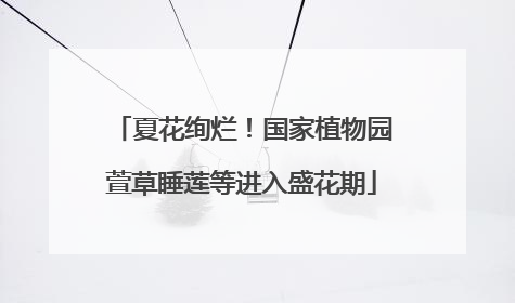 夏花绚烂！国家植物园萱草睡莲等进入盛花期