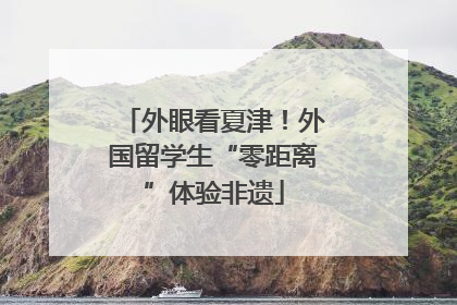 外眼看夏津！外国留学生“零距离”体验非遗