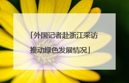 外国记者赴浙江采访推动绿色发展情况