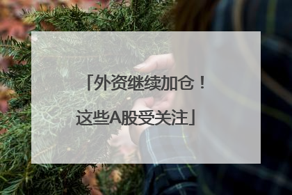 外资继续加仓！这些A股受关注