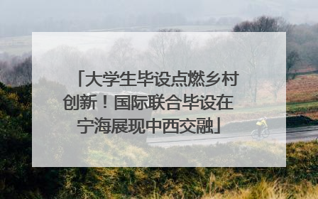 大学生毕设点燃乡村创新！国际联合毕设在宁海展现中西交融