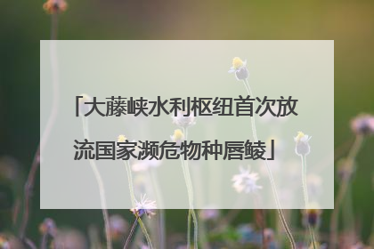 大藤峡水利枢纽首次放流国家濒危物种唇鲮