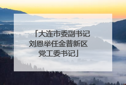 大连市委副书记刘恩举任金普新区党工委书记