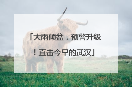 大雨倾盆，预警升级！直击今早的武汉