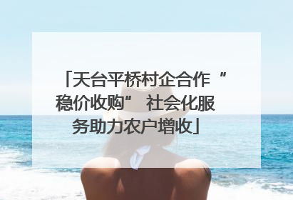 天台平桥村企合作“稳价收购” 社会化服务助力农户增收