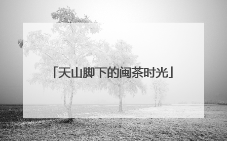天山脚下的闽茶时光