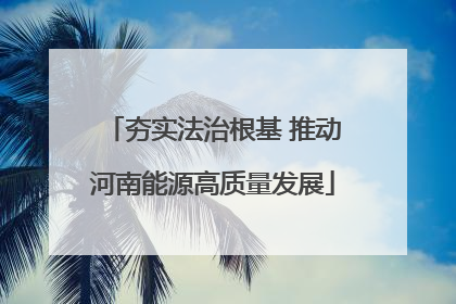 夯实法治根基 推动河南能源高质量发展
