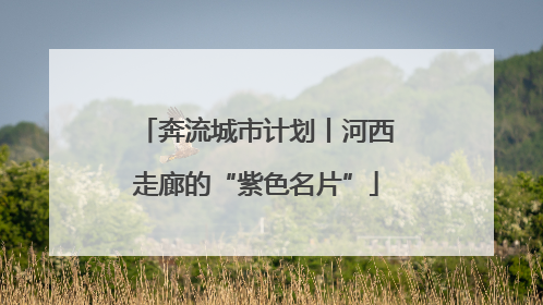 奔流城市计划丨河西走廊的“紫色名片”