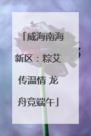 威海南海新区：粽艾传温情 龙舟竞端午