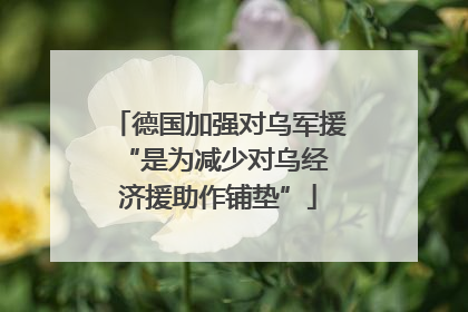 德国加强对乌军援 “是为减少对乌经济援助作铺垫”