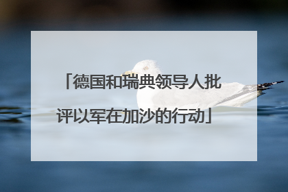 德国和瑞典领导人批评以军在加沙的行动
