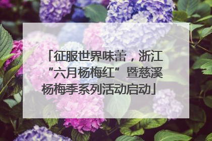 征服世界味蕾，浙江“六月杨梅红”暨慈溪杨梅季系列活动启动