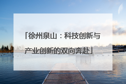 徐州泉山：科技创新与产业创新的双向奔赴
