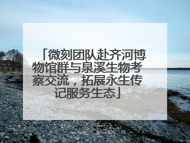 微刻团队赴齐河博物馆群与泉溪生物考察交流，拓展永生传记服务生态