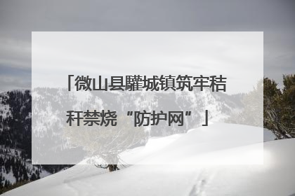 微山县驩城镇筑牢秸秆禁烧“防护网”