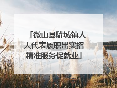 微山县驩城镇人大代表履职出实招精准服务促就业