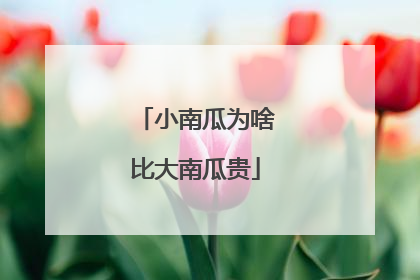 小南瓜为啥比大南瓜贵