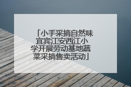 小手采摘自然味 宜宾江安西江小学开展劳动基地蔬菜采摘售卖活动