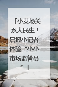 小菜场关系大民生！晨报小记者体验“小小市场监管员”
