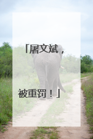 屠文斌，被重罚！