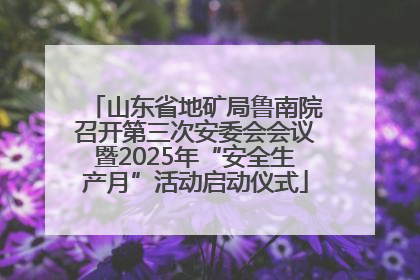 山东省地矿局鲁南院召开第三次安委会会议暨2025年“安全生产月”活动启动仪式