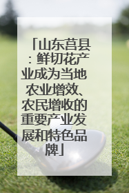 山东莒县：鲜切花产业成为当地农业增效、农民增收的重要产业发展和特色品牌
