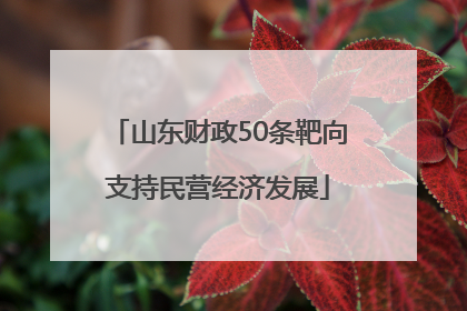 山东财政50条靶向支持民营经济发展
