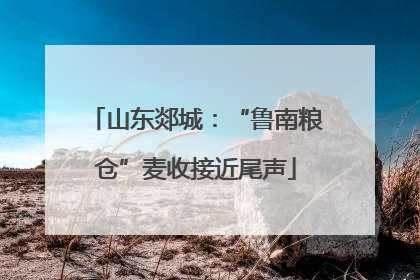 山东郯城：“鲁南粮仓”麦收接近尾声