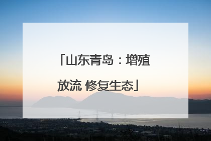 山东青岛：增殖放流 修复生态
