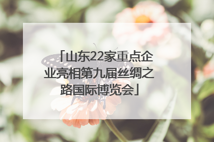 山东22家重点企业亮相第九届丝绸之路国际博览会