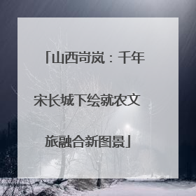 山西岢岚：千年宋长城下绘就农文旅融合新图景