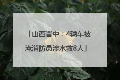 山西晋中：4辆车被淹消防员涉水救8人