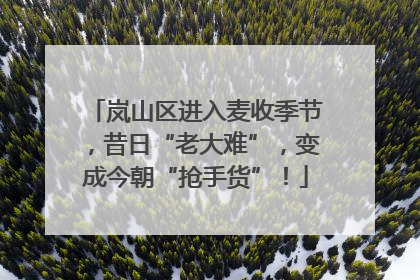 岚山区进入麦收季节，昔日“老大难”，变成今朝“抢手货”！