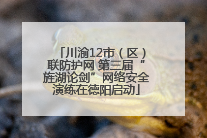 川渝12市（区）联防护网 第三届“旌湖论剑”网络安全演练在德阳启动
