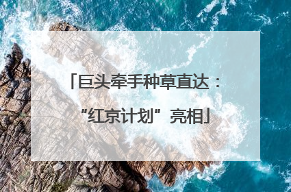 巨头牵手种草直达：“红京计划”亮相