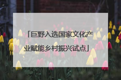 巨野入选国家文化产业赋能乡村振兴试点