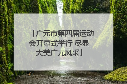广元市第四届运动会开幕式举行 尽显大美广元风采