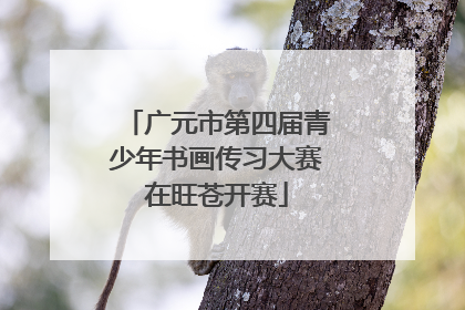 广元市第四届青少年书画传习大赛在旺苍开赛