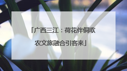 广西三江：荷花伴侗歌 农文旅融合引客来