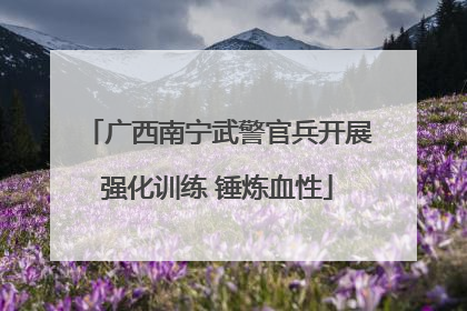 广西南宁武警官兵开展强化训练 锤炼血性