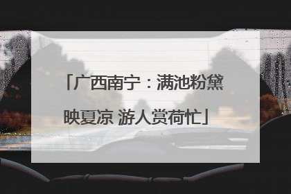 广西南宁：满池粉黛映夏凉 游人赏荷忙