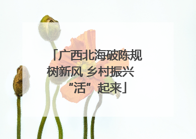 广西北海破陈规树新风 乡村振兴“活”起来