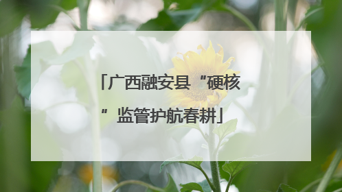 广西融安县“硬核”监管护航春耕